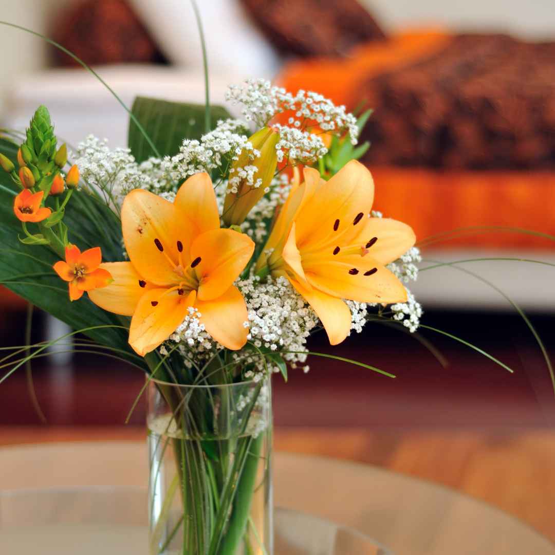 Vase with flowers in guest bedroom