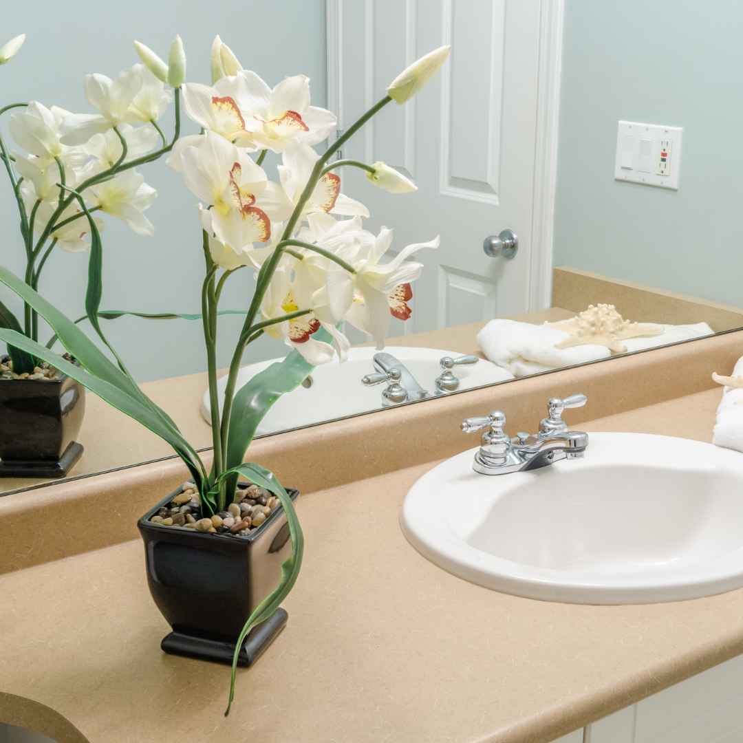 Vase with plants in guest bathroom